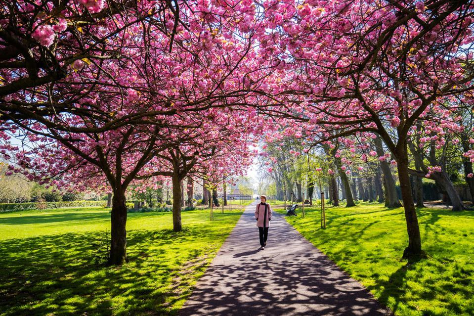 Best solo trips for women