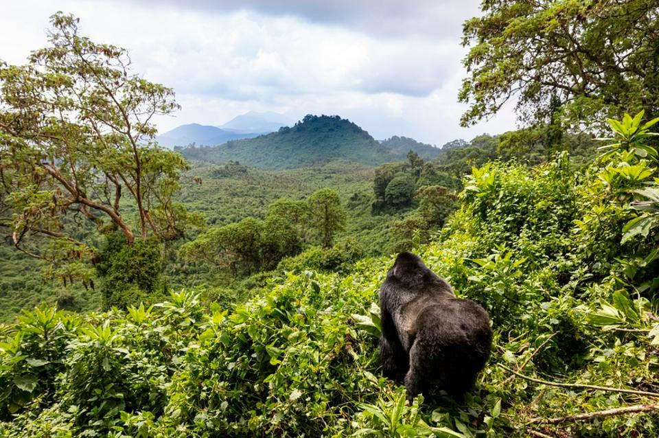 Best solo trips for women