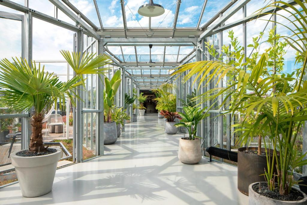 Hotels in Amsterdam