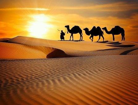 desert safari, dubai, , sahara desert,