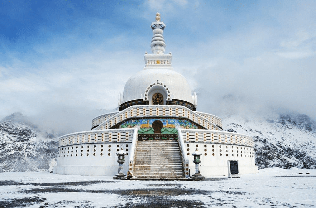 tripppybug, travel,