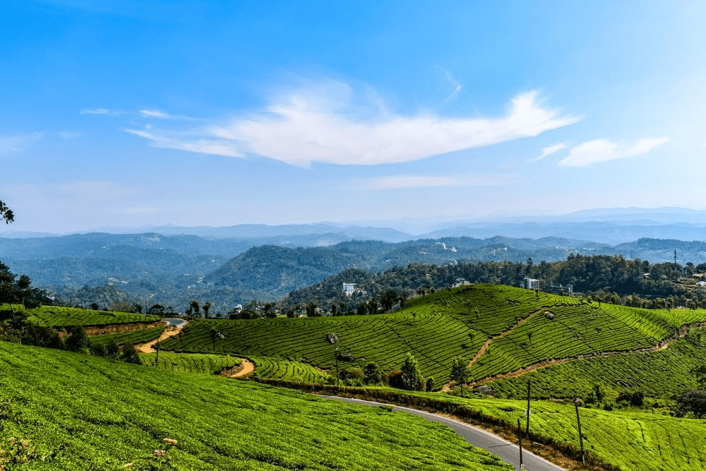 munnar kerala,