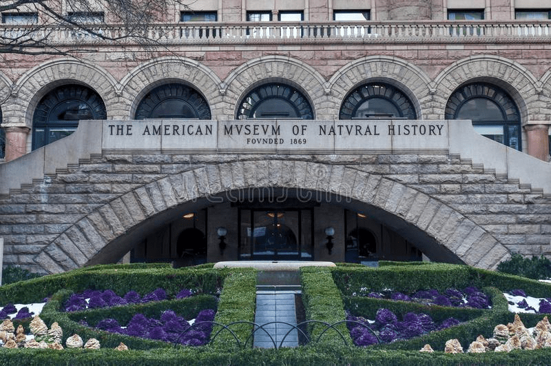 museum of natural history nyc