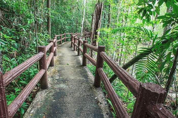 thailand , pattaya, phuket,