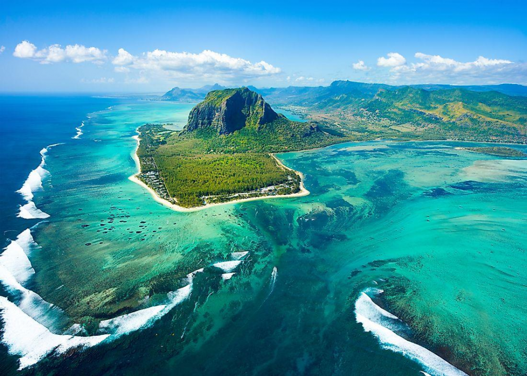 mauritius, trippybug ,
