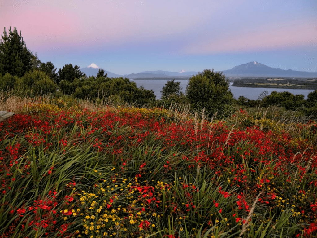 chile, national park,