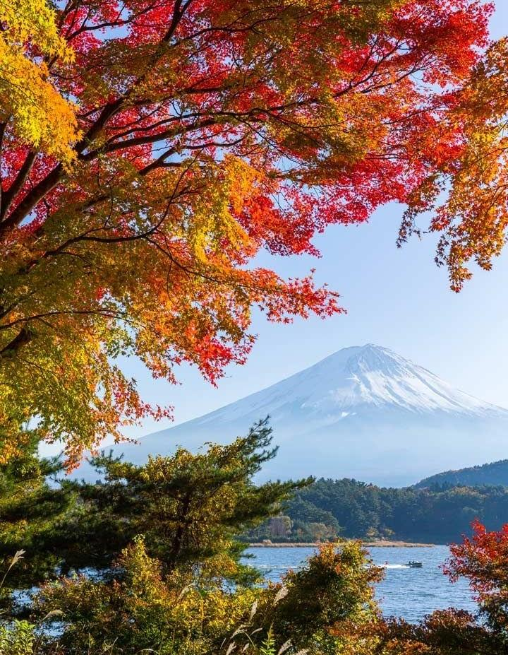 mount fiji, japan,