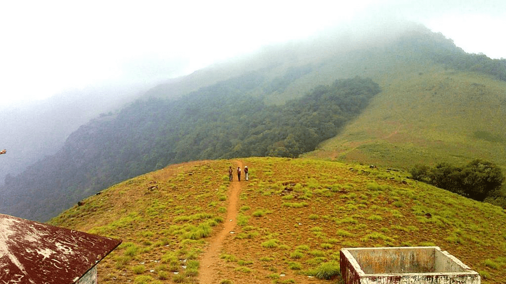 trippybug, nature, hills,