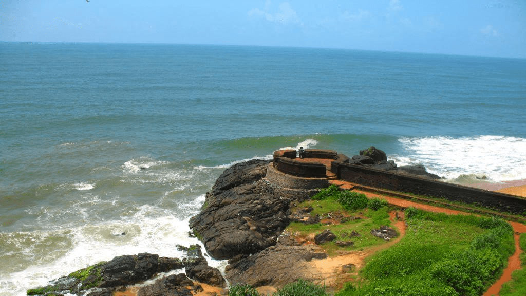 kerala, trippybug,