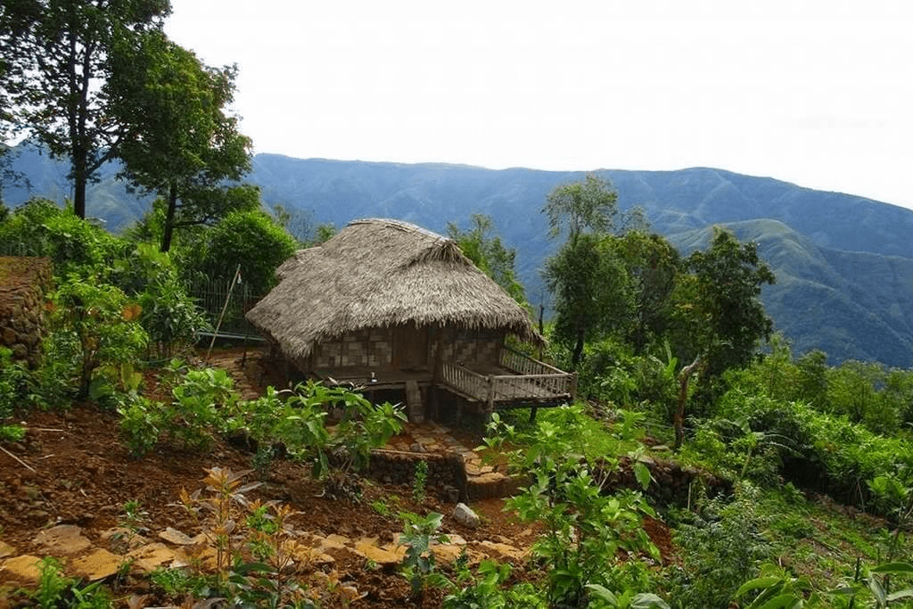 meghalaya tourism