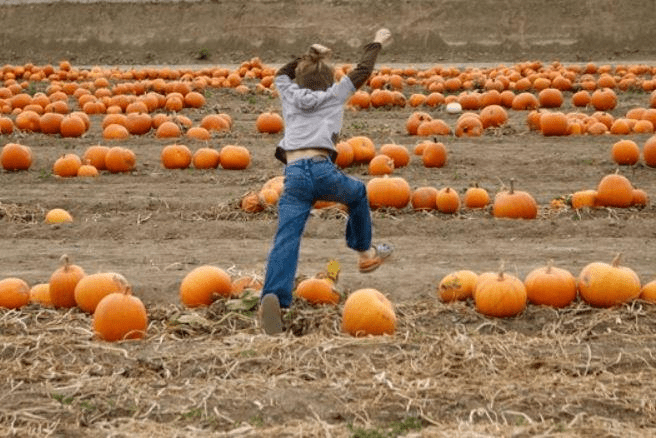 pumpkin stomp games,