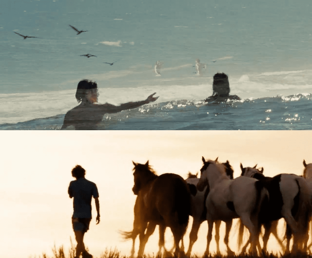 travel movies