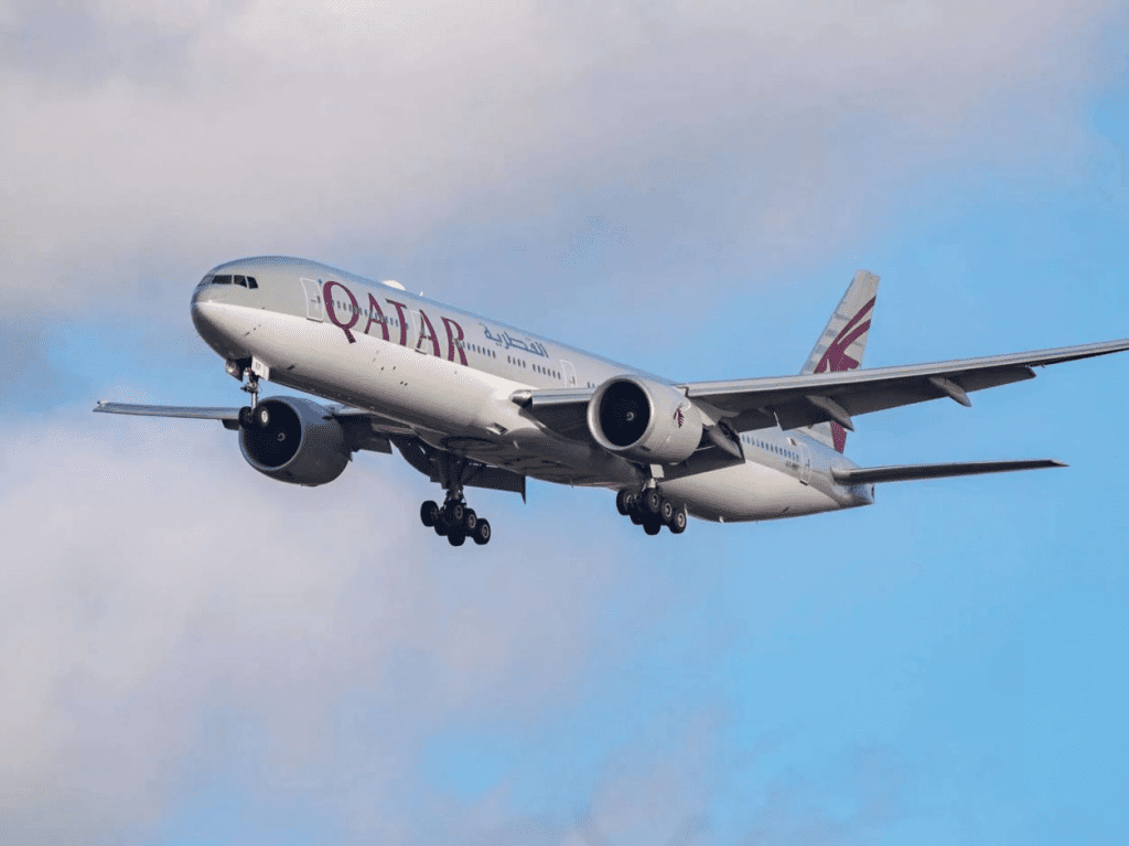 qatar airways, trippybug,