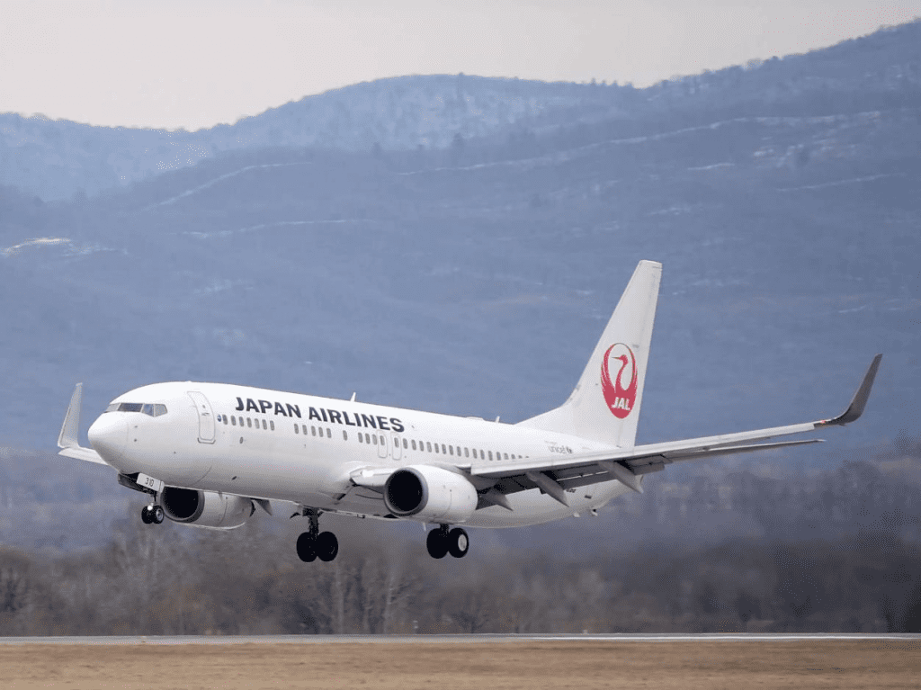 japan airlines, trippybug,