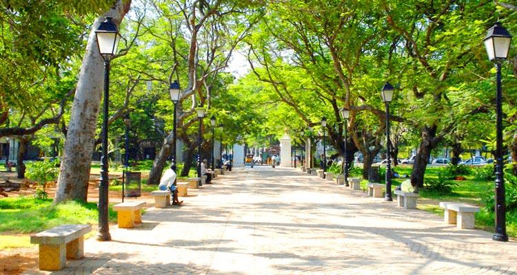 Bharathi Government Park,