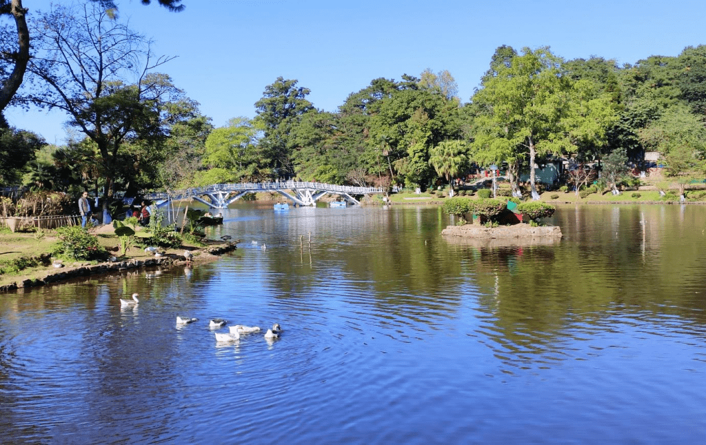 wards lake,