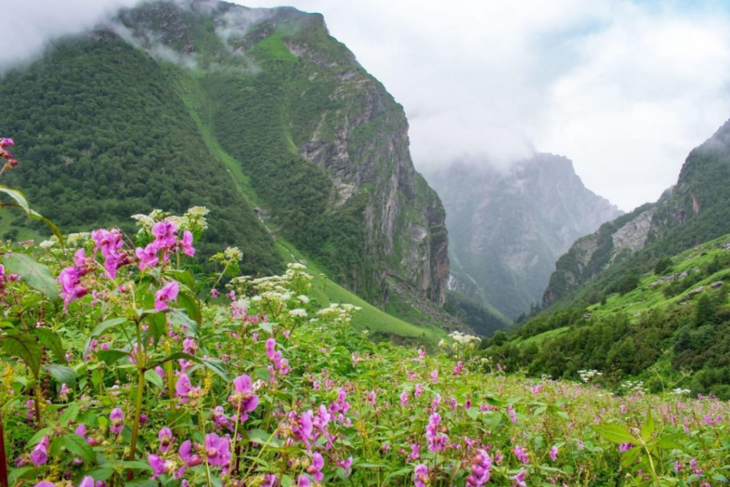 places to visit in august in india,