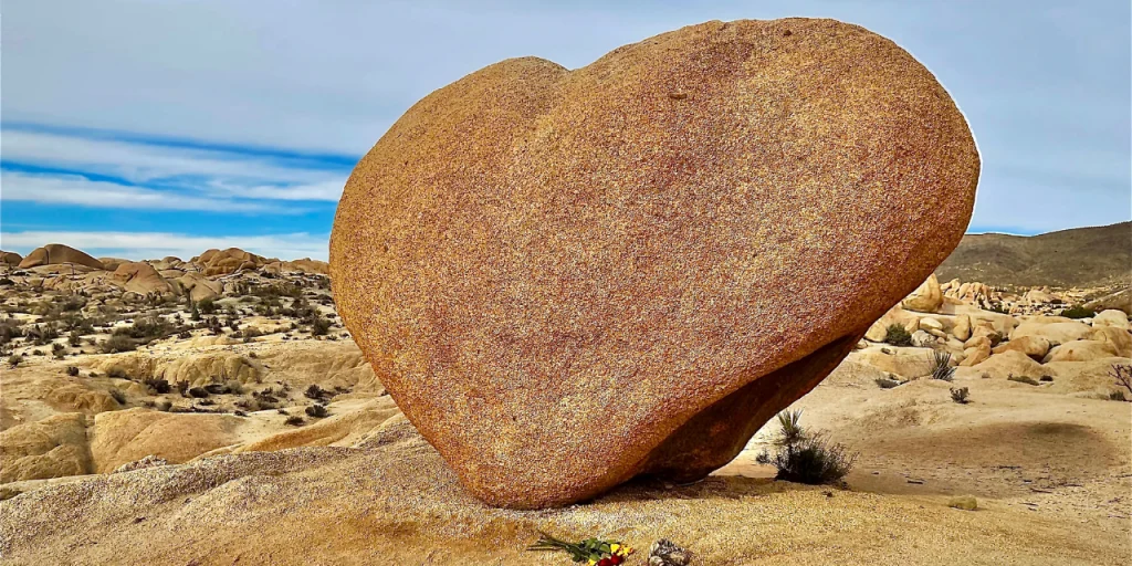 the-Heart-of-Joshua-Tree