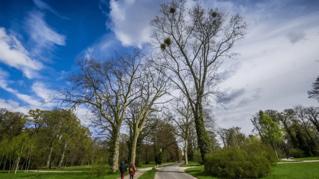 Lose-Your-Worries-at-Sans-Souci-Park-Literally-things-to-do-in-Germany