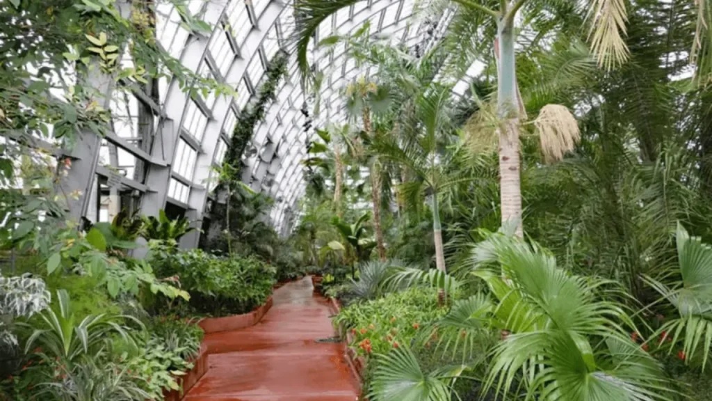 Stroll-through-The-Garfield-Conservatory-Things-To-Do-In-Chicago
