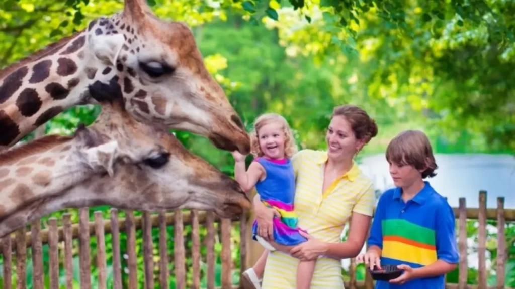 Visit-The-Brookfield-Zoo-Things-To-Do-In-Chicago
