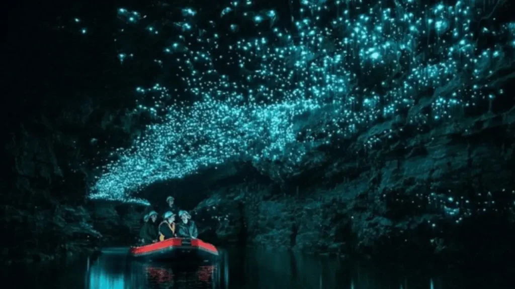 The-Glowworm-caves-Things-To-Do-In-New-Zealand