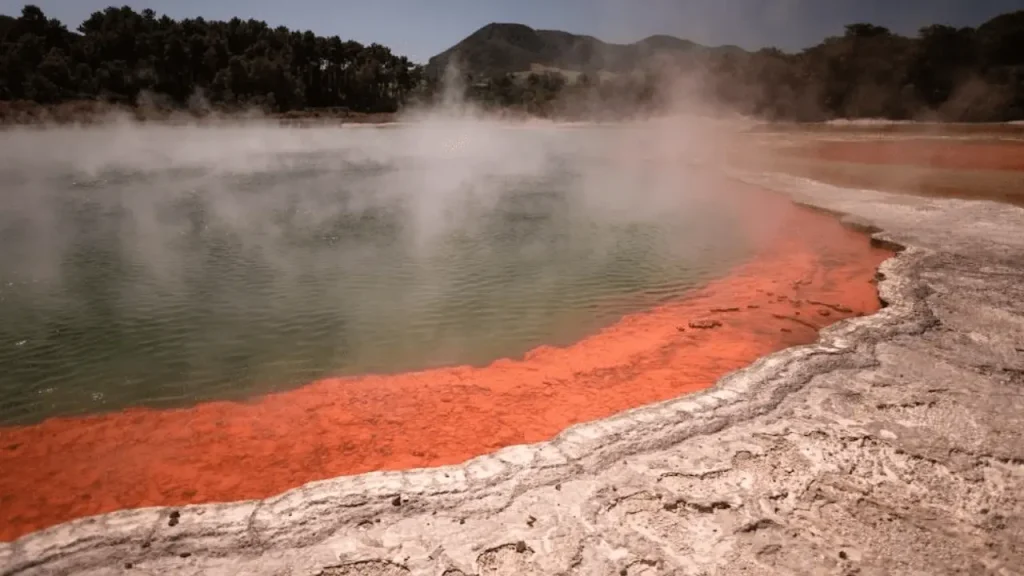 The Rotorua-Things To Do In New Zealand