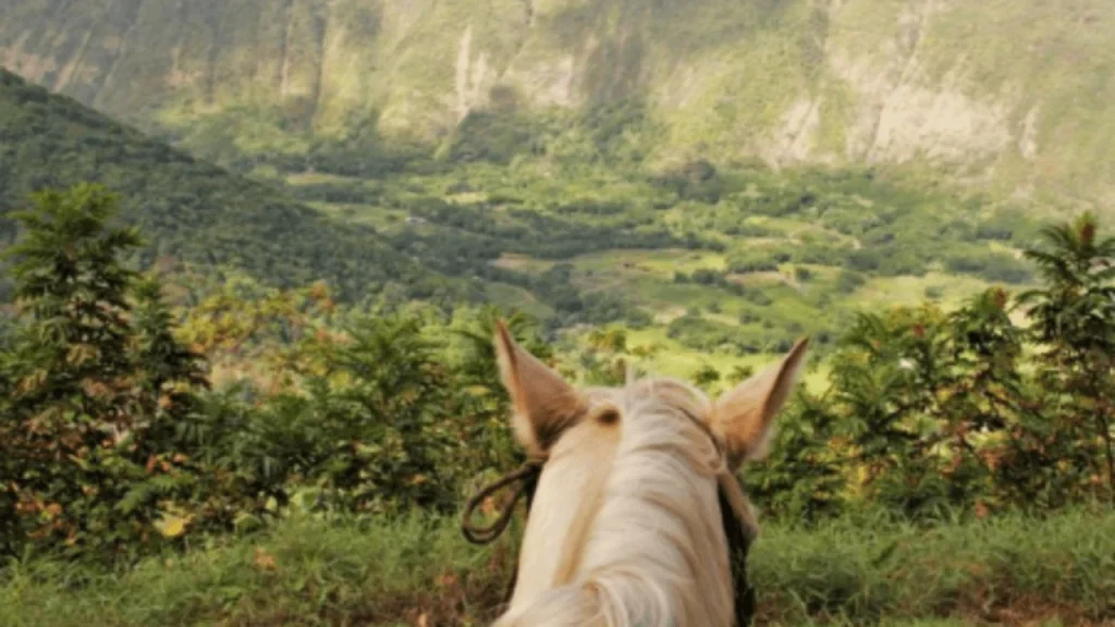 A-Horse-Ride-in-the-Wapio-Valley-Things-to-do-in-Hawaii