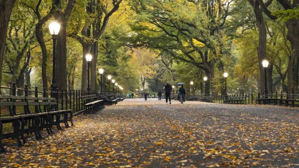 Central Park-Best Things to Do in New York
