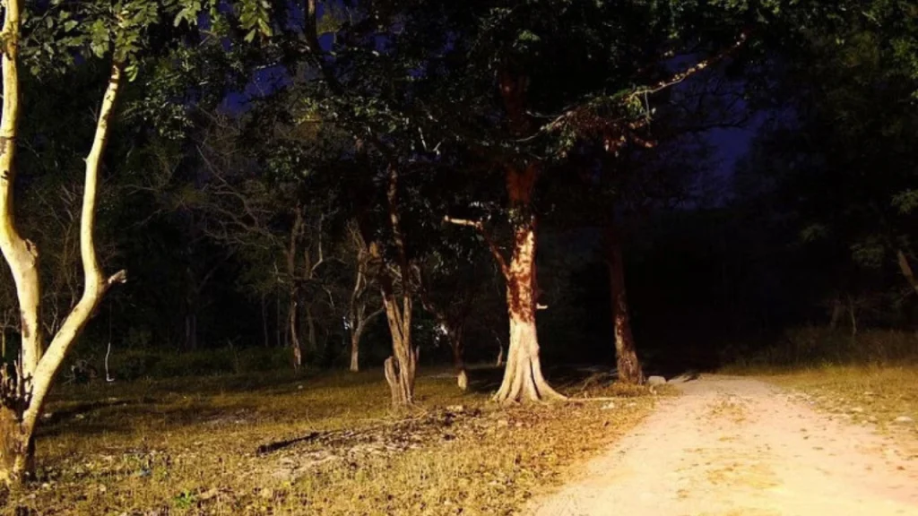 Delhi Cantonment-Haunted Places In India
