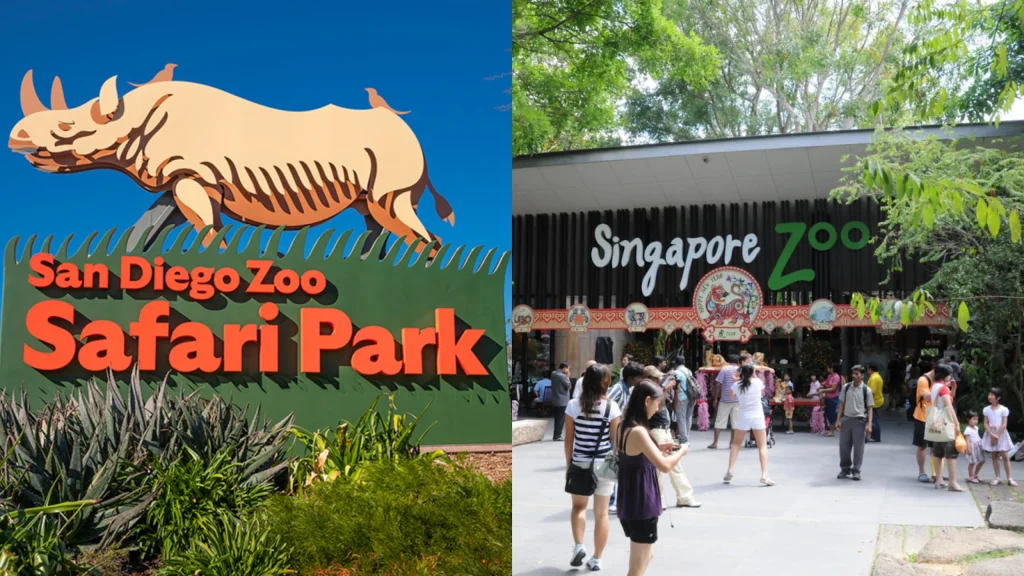 San Diego Zoo, California, USA-Best Zoos in The World