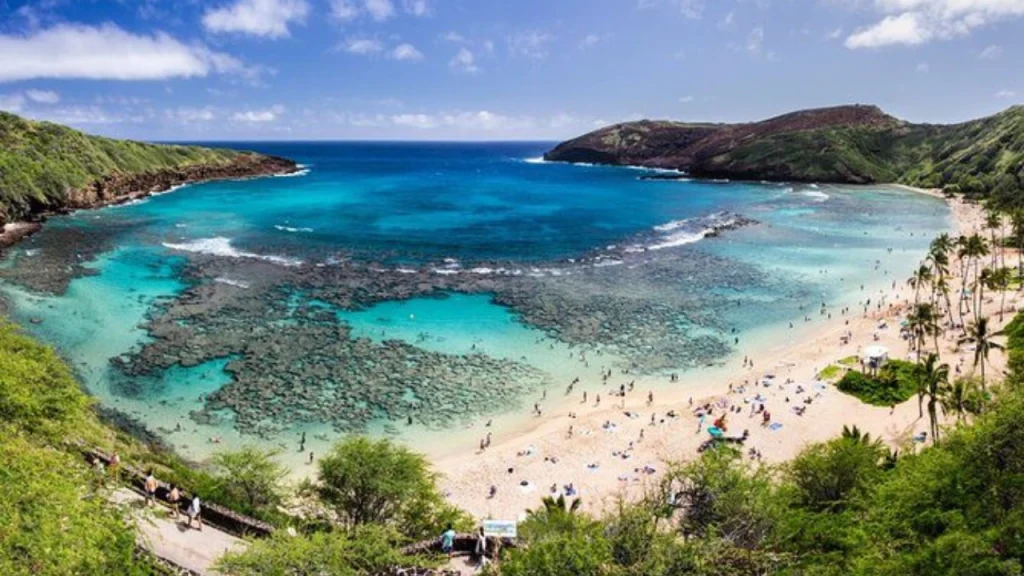 Snorkelling-Things-to-do-in-Hawaii