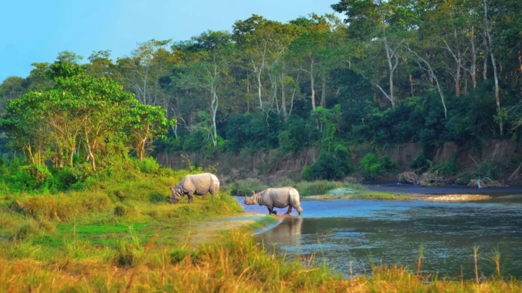 Chitwan-National-Park-Best-National-Parks-in-the-World