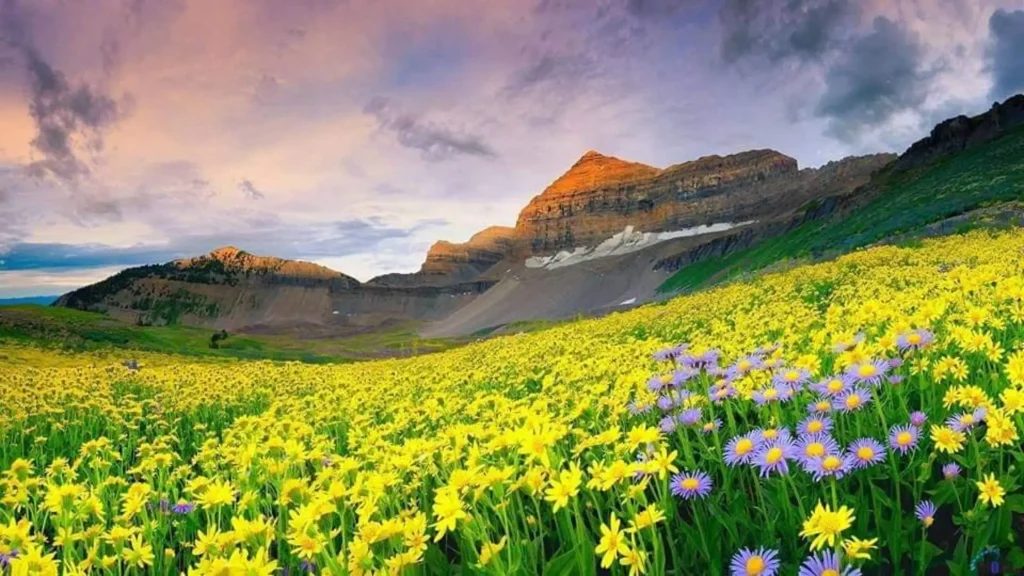 Nanda-Devi-and-Valley-of-Flowers-National-Parks-Best-National-Parks-in-the-World