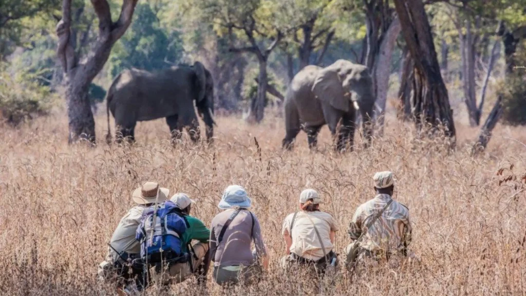 South-Luangwa-National-Park-Best-National-Parks-in-the-World