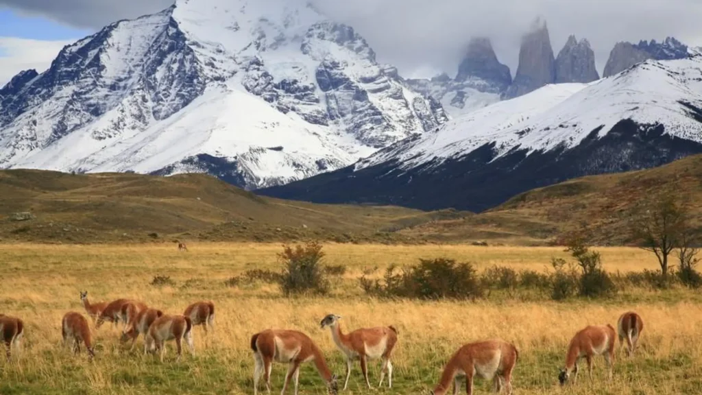 Torres-del-Paine-National-Park-Best-National-Parks-in-the-World